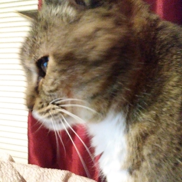 Make me an offer ❤️❤️ !! - Picture 1 of 2